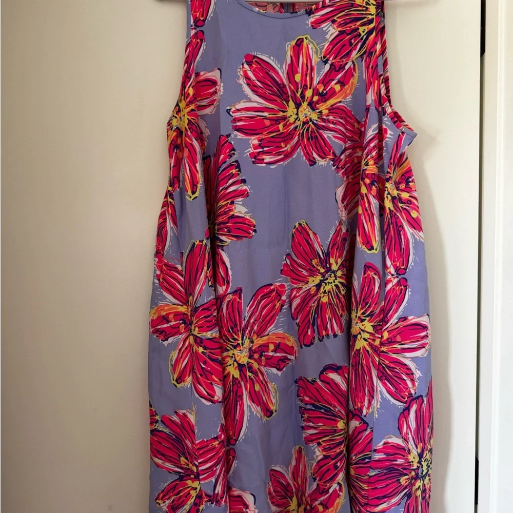 Lilly Pulitzer HTF & Holy Grail Molly Haynes Dress. SZ Large - Picture 6 of 7